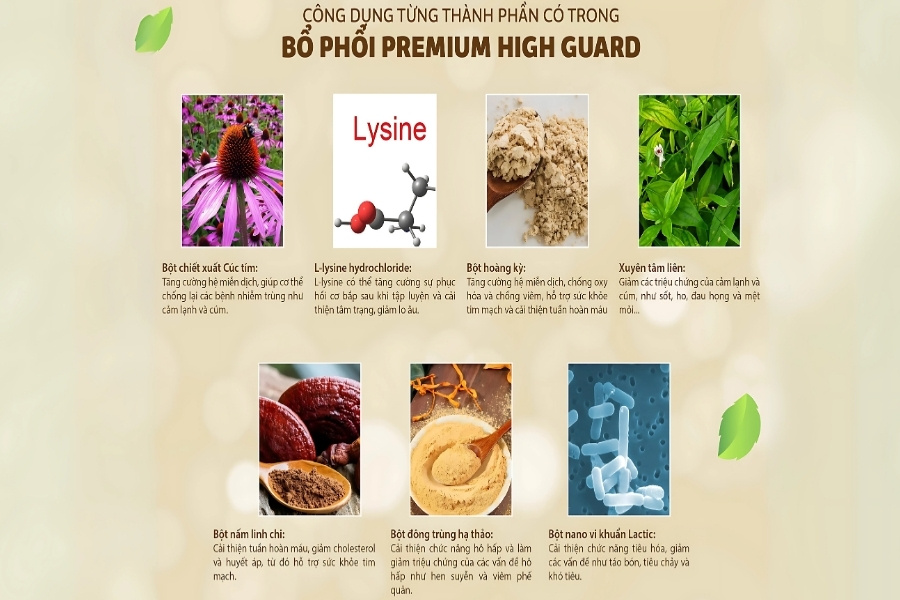 các thành phần trong viên uống hỗ trợ bổ phổi Premium High Guard