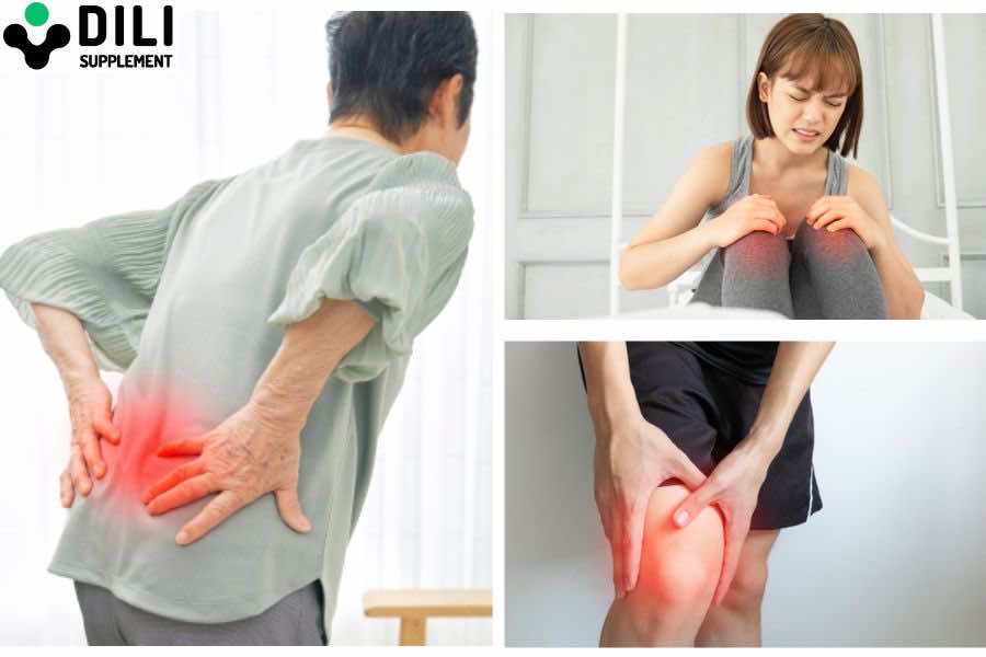 Sụn cá mập Nano Premium Shark Cartilage cho ai
