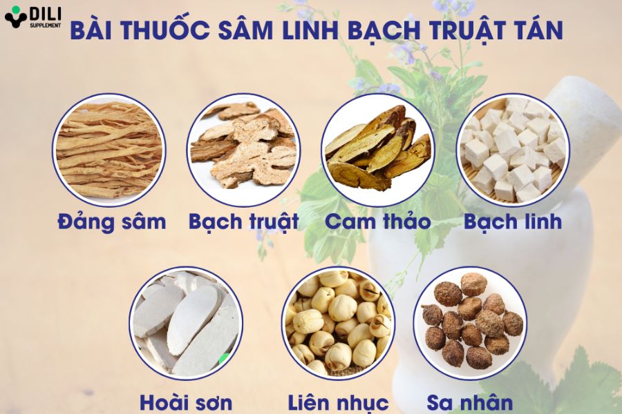 bài thuốc chữa hội chứng ruột kích thích sâm linh bạch truật tán