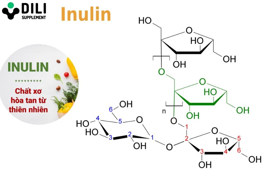 cấu trúc inulin là gì