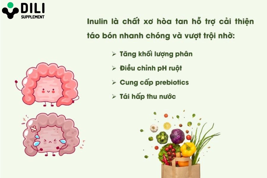 công dụng inulin là gì