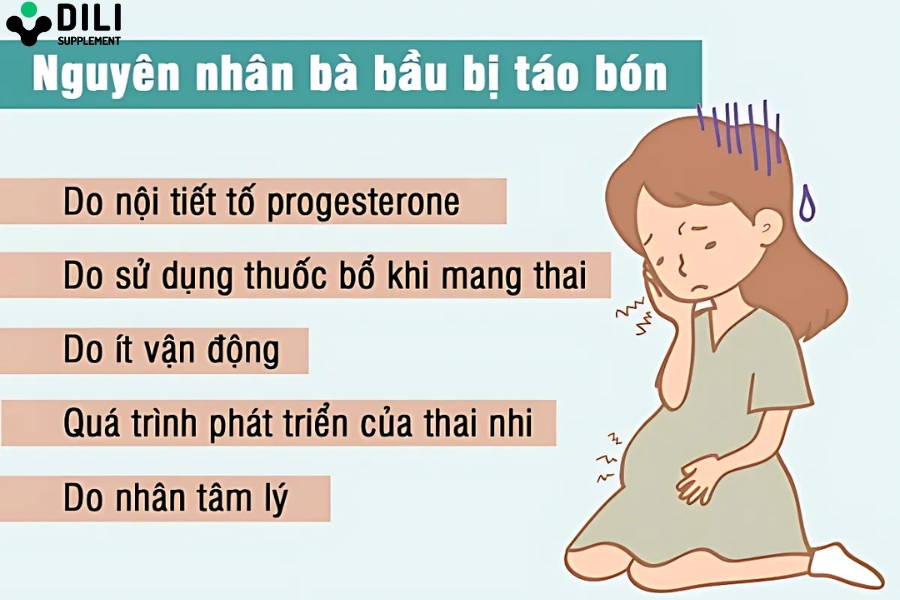 thuốc trị táo bón cho bà bầu 2
