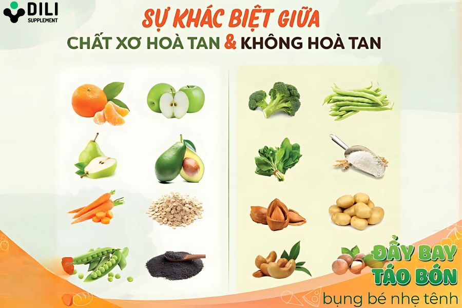 Chất xơ hòa tan và không hòa tan