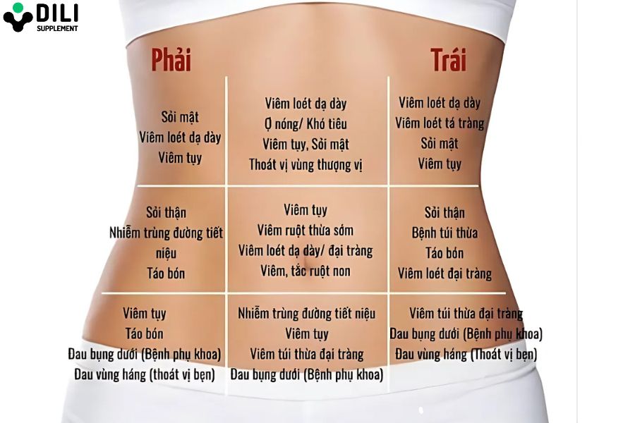 đau dạ dày ở vị trí nào 3