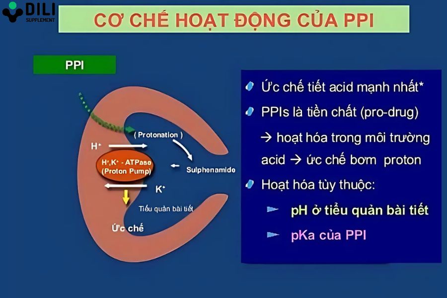 đơn thuốc viêm dạ dày ppi