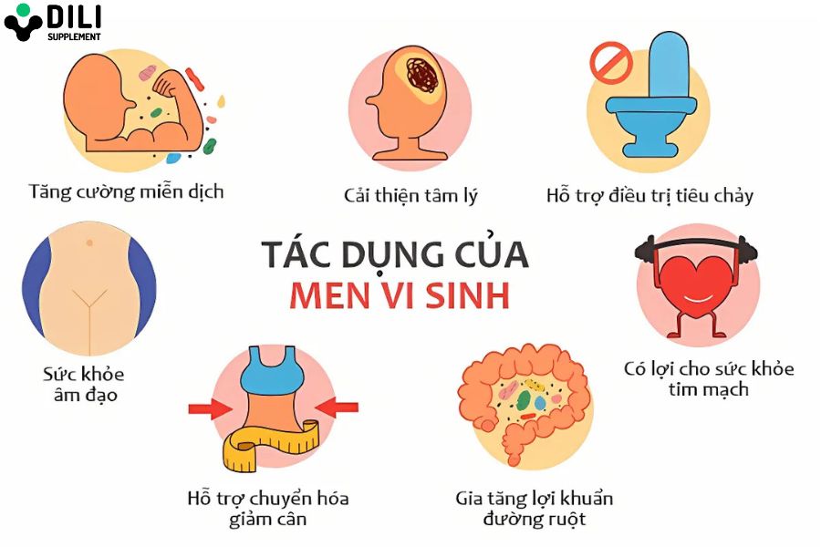 men vi sinh và men tiêu hóa 4