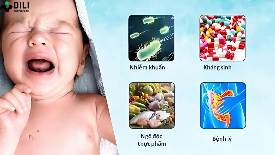 nguyên nhân rối loạn tiêu hóa ở trẻ sơ sinh