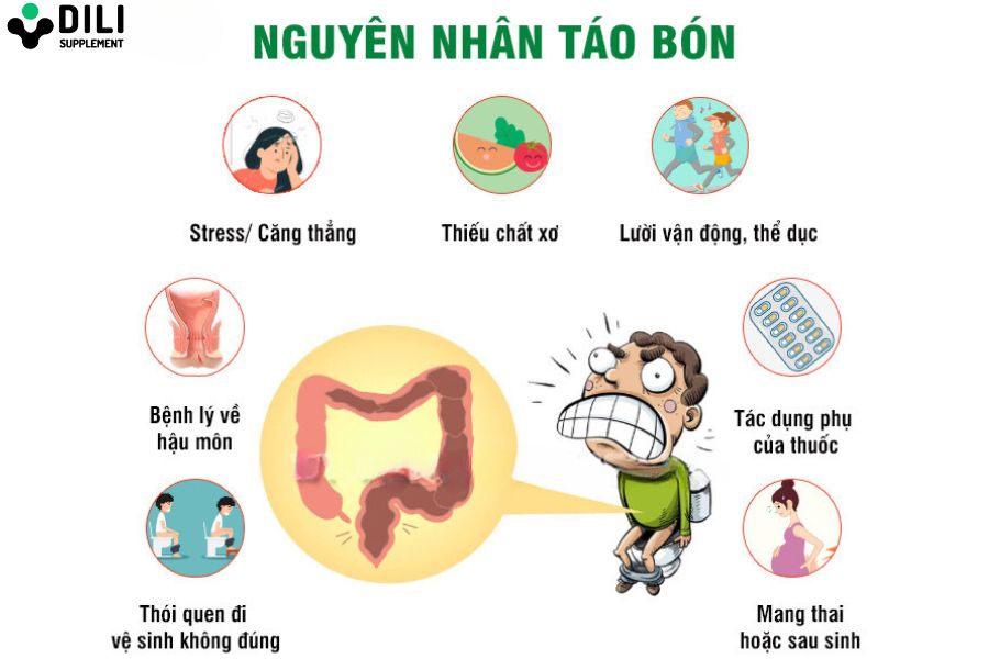 nguyên nhân táo bón nặng ở người lớn