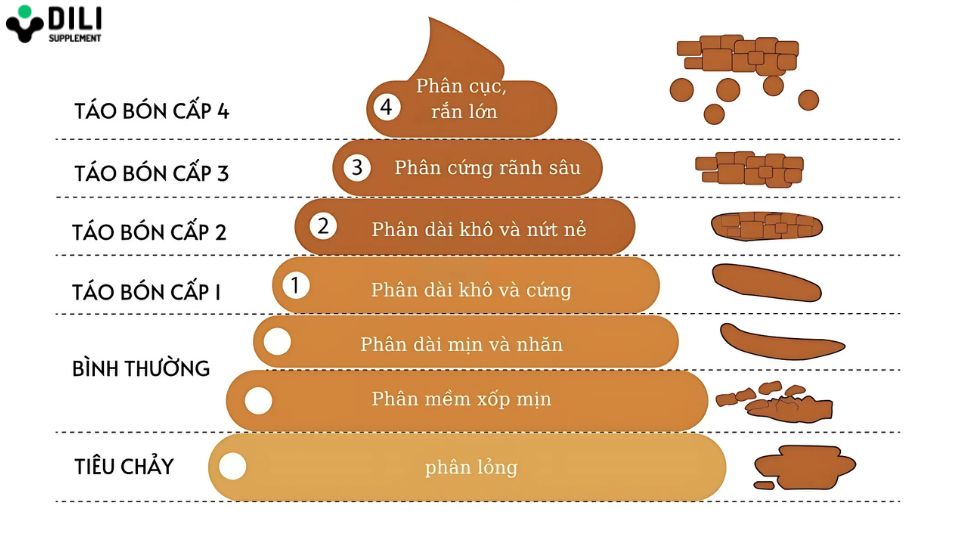 phân loại táo bón