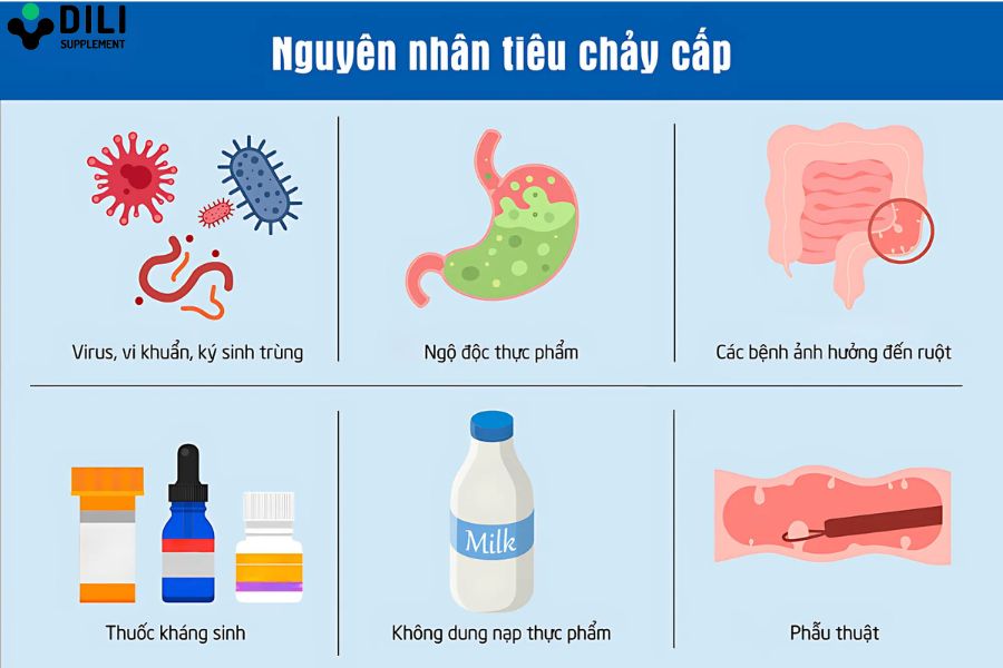 tiêu chảy cấp người lớn 3
