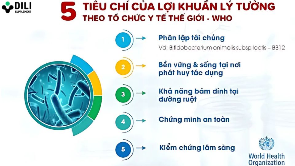 tiêu chí lựa chọn men vi sinh nhật
