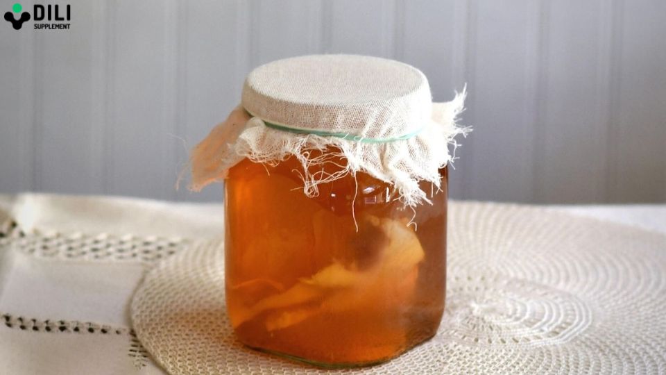 bổ sung lợi khuẩn cho người lớn kombucha
