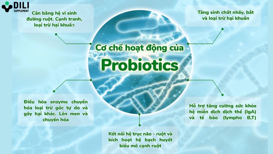 lợi khuẩn đường ruột 1