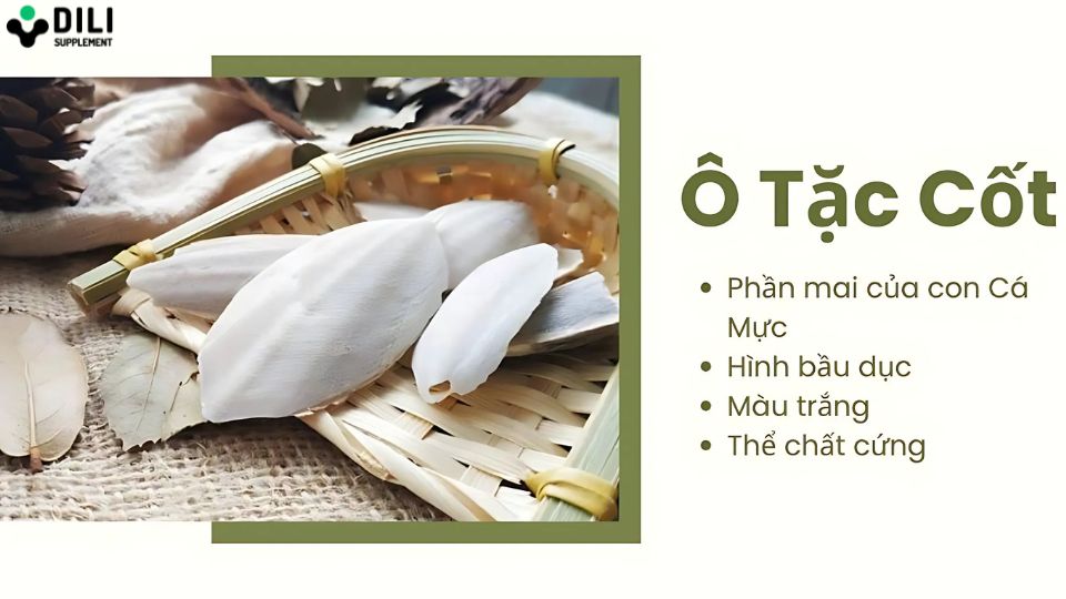 thuốc đông y chữa trào ngược dạ dày tốt nhất 2