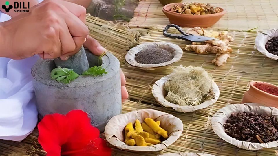thuốc đông y chữa trào ngược dạ dày tốt nhất 4