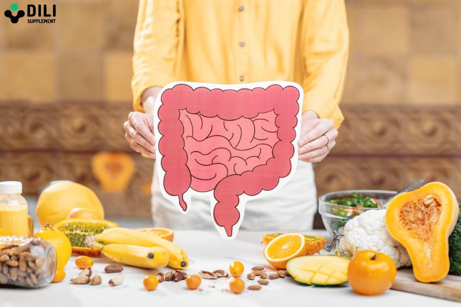 Men Inulin Nhật Bản tốt cho đại tràng