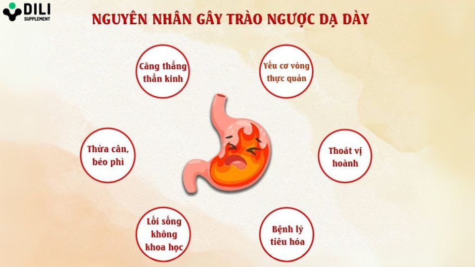 thực phẩm chức năng chữa trào ngược dạ dày nguyên nhân