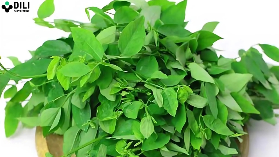 8 loại rau làm sạch gan rau ngót