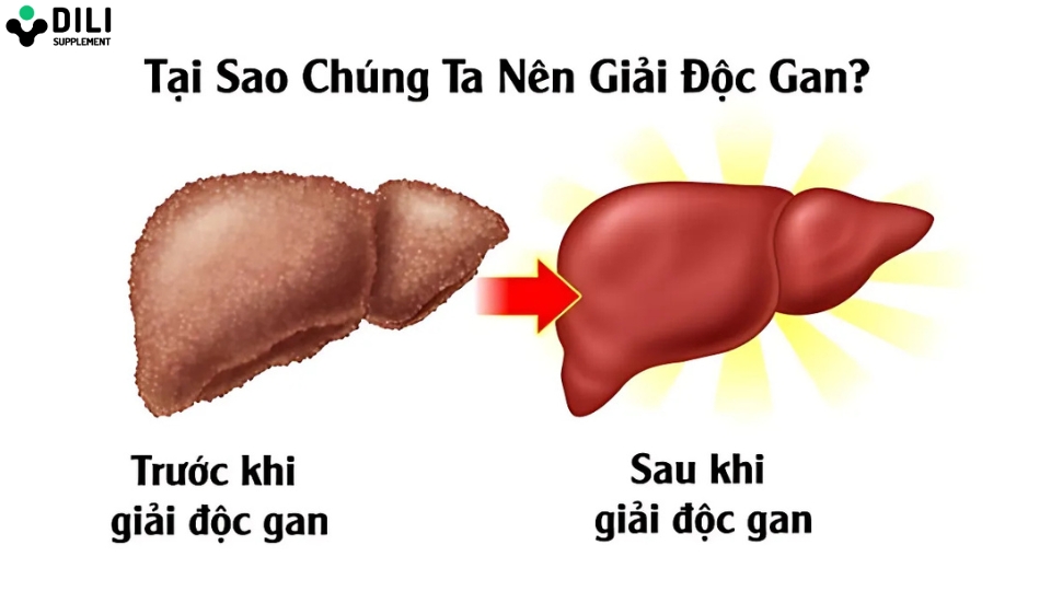 cách giải độc gan thanh lọc cơ thể 1