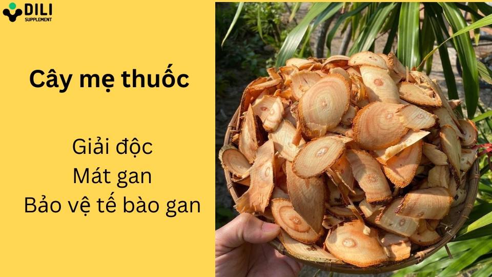 cách giải độc gan thanh lọc cơ thể cây mẹ thuốc