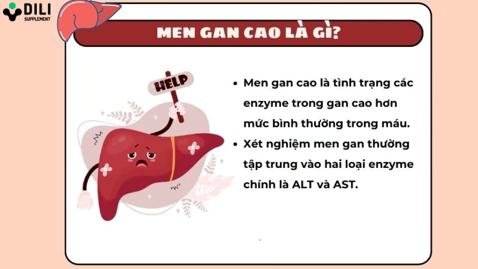 men gan cao là gì 1