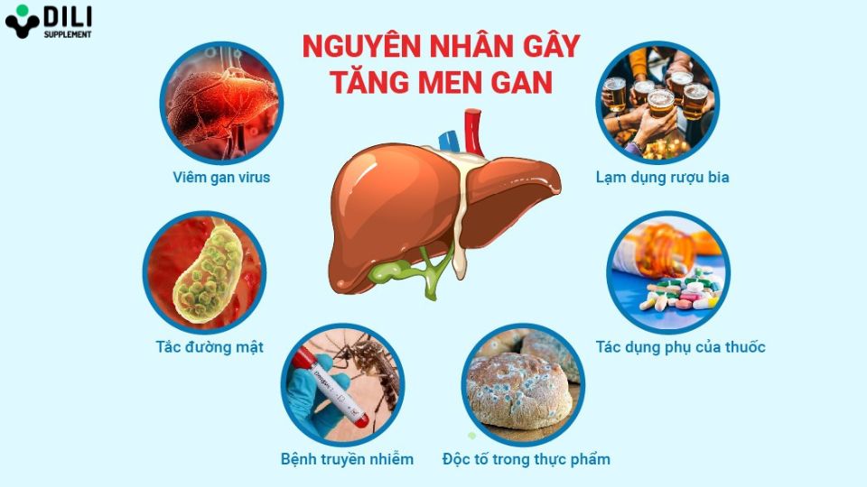 men gan cao là gì nguyên nhân