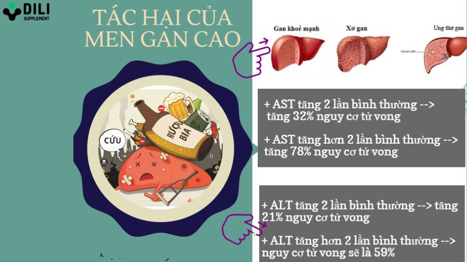 men gan cao là gì tác hại