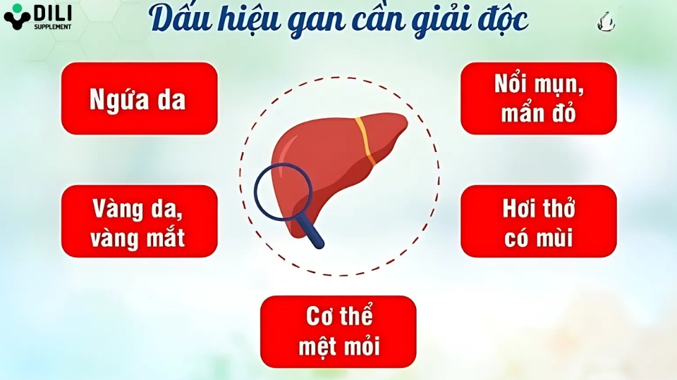 nên uống thuốc giải độc gan trong bao lâu dấu hiệu