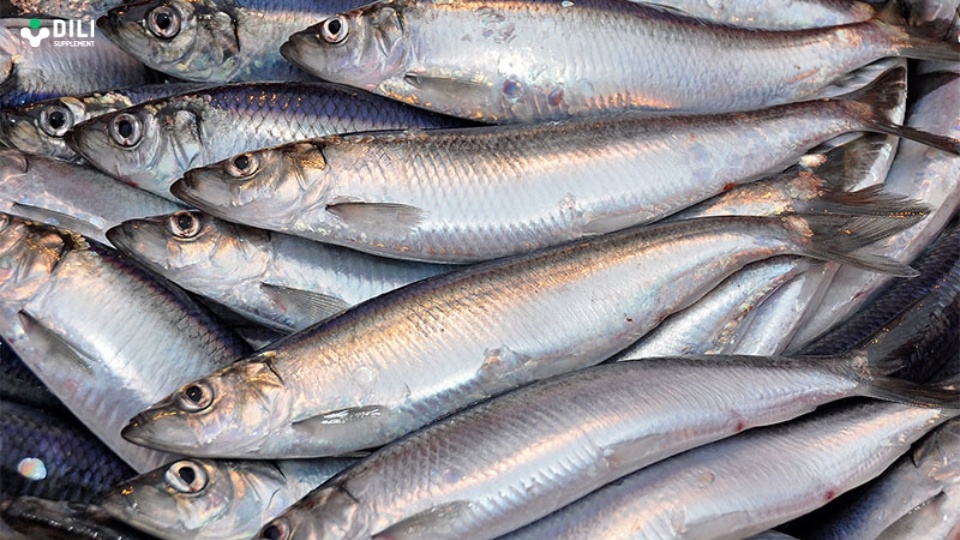 thực phẩm giàu omega 3 là cá trích